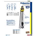 Polipasto manual 2 ramales 5 ton, cadena 3 m Surtek